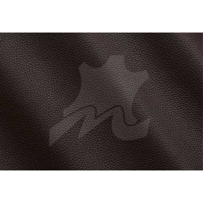 Aligo Group фото